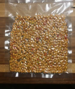 Buy Drug Lord Coca Seeds